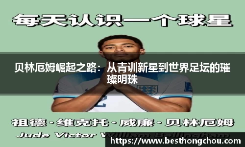 韦德体育